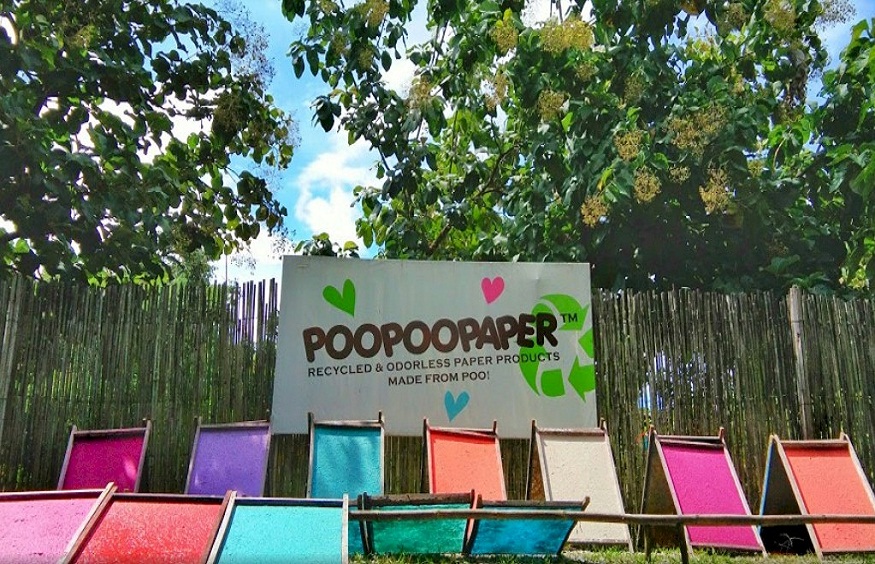 Discover Our Handmade Paper: Learn About The Poop To Paper Process